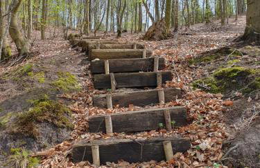 Schody do wody Domek z linią brzegową Kaszuby sauna goraca balia - Foto 40
