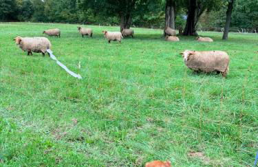 Ferienwohnung am Wald - Photo 25