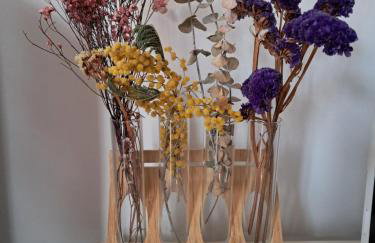 Can Vibru Vilallonga - Foto 11