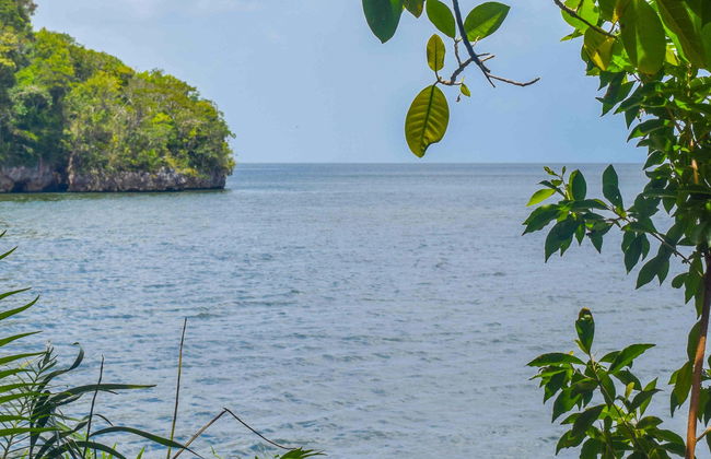 Excursión al Parque Nacional Los Haitises y Cayo Levantado - Foto 2