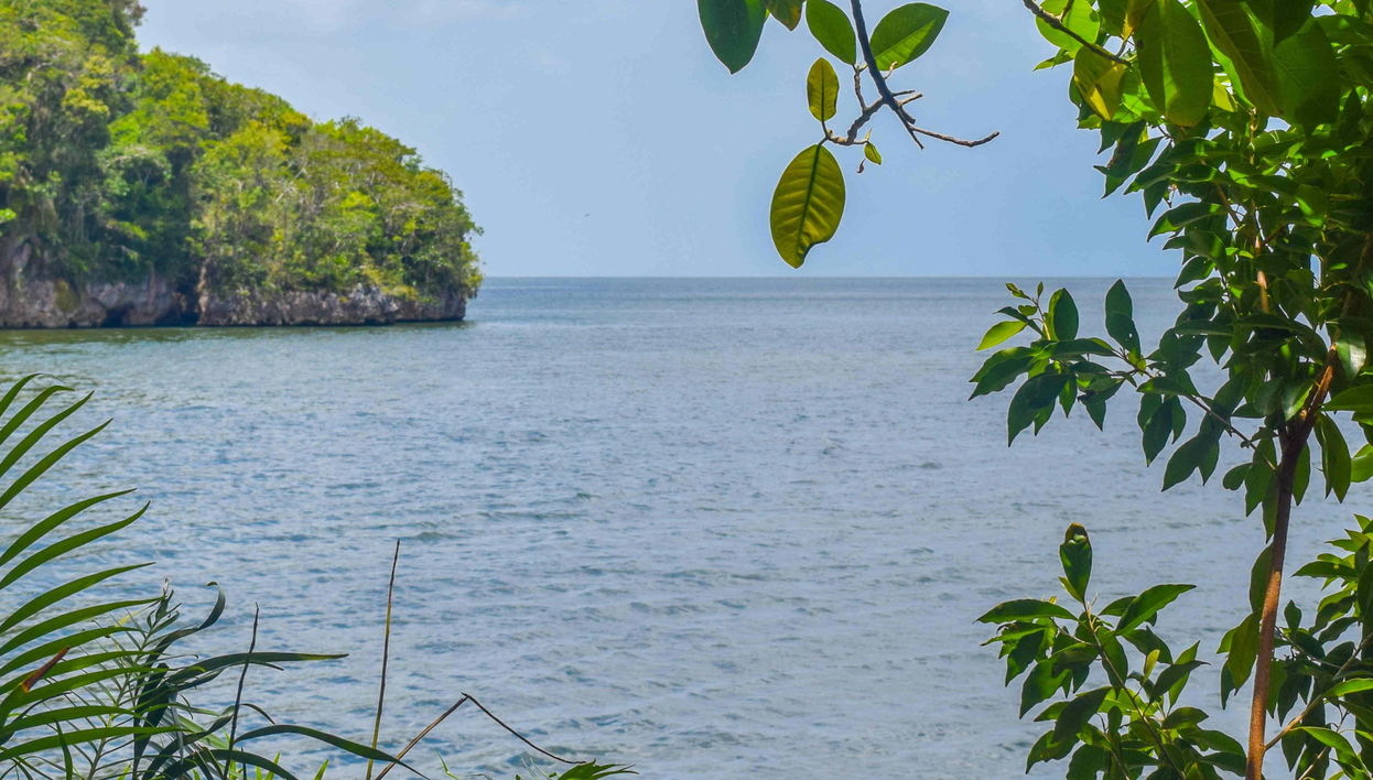 Excursion au Parc National Los Haitises et à Cayo Levantado