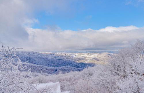 2 Mi to Ski Resort Beech Mtn Home with Fire Pit! - Foto 36