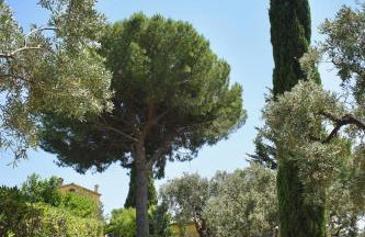 Azienda Agrituristica Le Puzelle - Foto 78