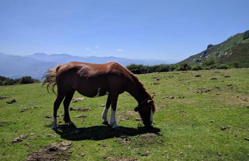 La Quintana de Doña Leonor - Photo 54