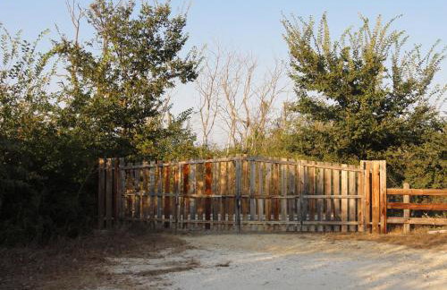 Aroggia Farm - Foto 34