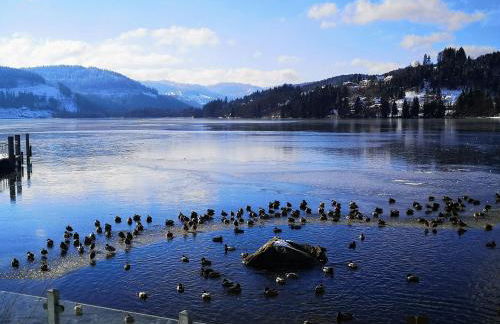 Vogelnescht19 - Foto 25