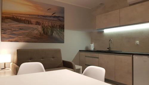 Baltic Studio 45 - Photo 5