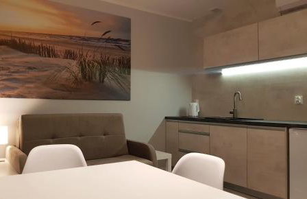 Baltic Studio 45 - Photo 5