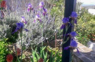 Anassa's Apartment - Άνασσα Διαμέρισμα - Foto 34