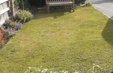 Entire house near beaches, footpaths, dog friendly - Foto 22