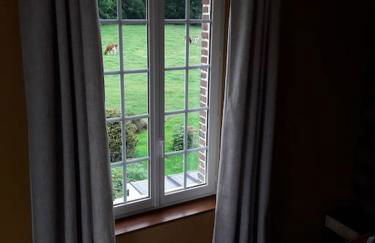 Chez DOUDOU entre terre et mer - Foto 13