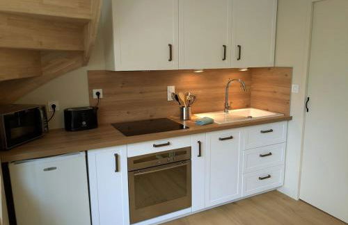 Appt Centre ville 2 pers Ty Basroz - Foto 6