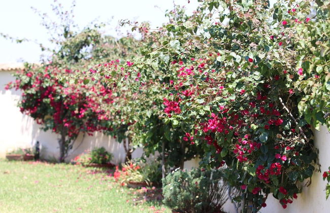 Antica Gebbia - Photo 35