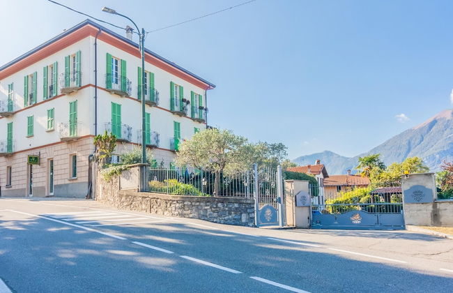 Green Rose by Wonderful Italy - Photo 14