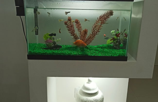 Luxurious Apartment 4to Level With Security Camera - Foto 39