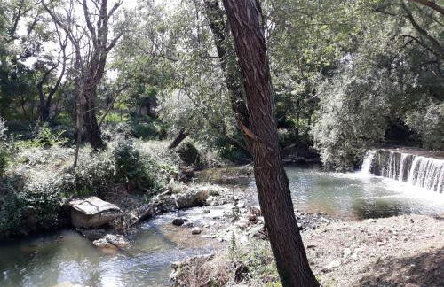 The Flowers' House - Photo 49