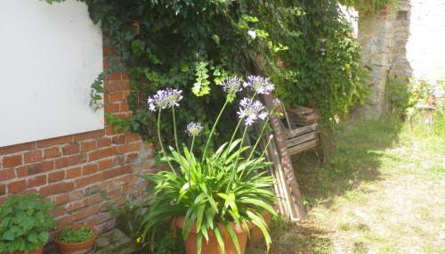 Drahtesel Oase - Foto 4, Garden