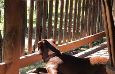 Caddo Cabin on Collier Creek - Foto 30