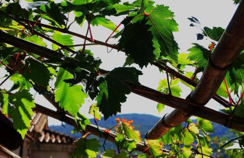 Le Sorgenti Guest House - Foto 25