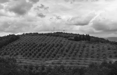 Agriturismo Borgo Spagnoli - Photo 45