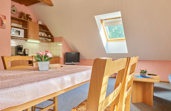 1 bedroom Apartment in Stárkov with swimming pool and garden - Photo 7