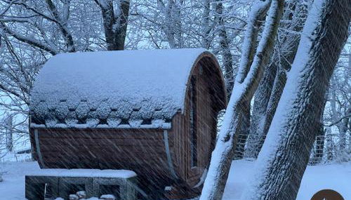 Dat Blikhus - Foto 3