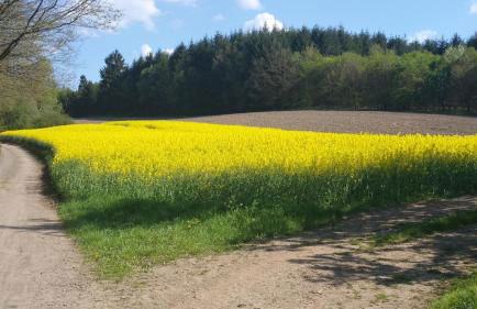 Ferienwohnung Auszeit - Foto 18