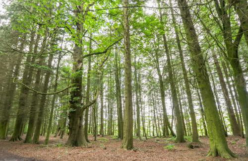 Courtyard Cottage - Photo 22