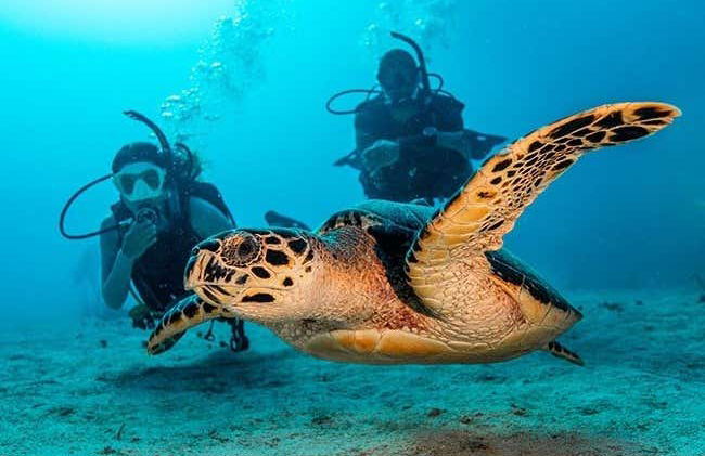 4 day PADI Open Water Course - Photo 5