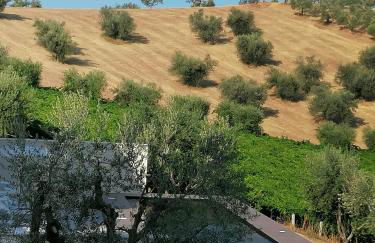 Cantina Loft - Foto 31