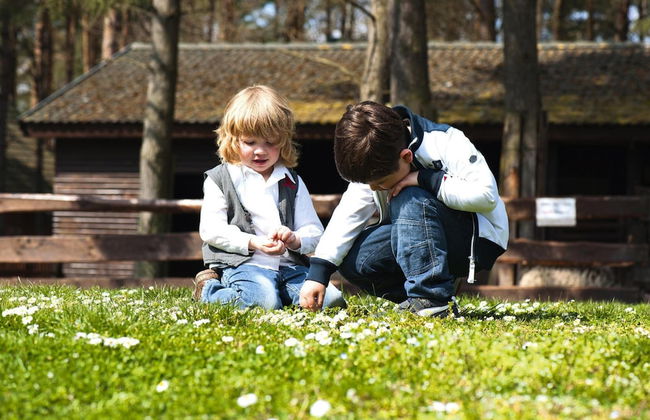 Semi-detached Houses at the Drewitzer See, Drewitz - Foto 22