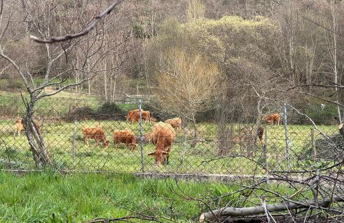 Casa do Tio Zé Montesinho - Foto 28