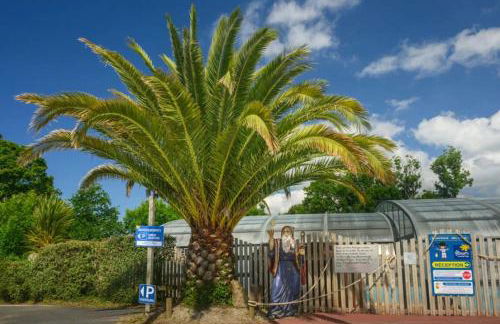 Chalet 3 étoiles - Piscine - ccbbhfa - Foto 15