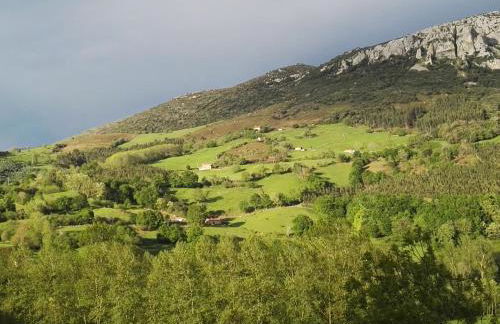 Finca Artienza - Foto 9