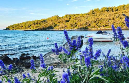 Stunning villa in Cres - Losinj - Foto 24