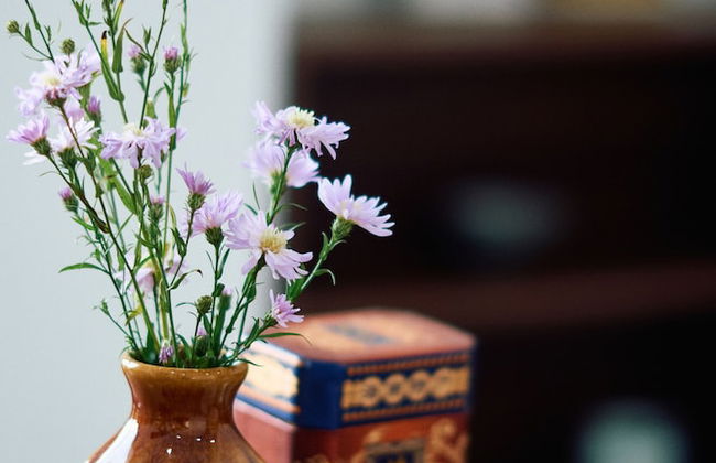 MTR Apartment & Hotel Da Nang - Photo 73