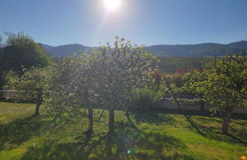 Studio aux pieds des vignes - Foto 32