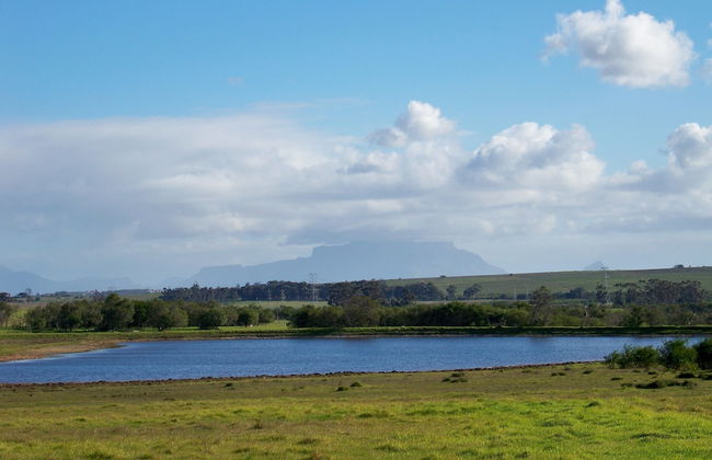 Wild Clover Cottages - Foto 35