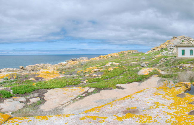 Excursión a la isla de Sálvora - Foto 6