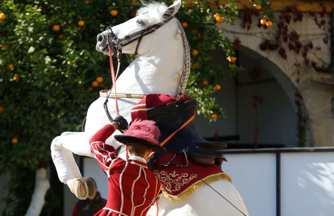 Spettacolo equestre alle Caballerizas Reales - Foto 5