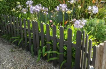 Meublé 3 étoiles Les Capucines - Foto 12