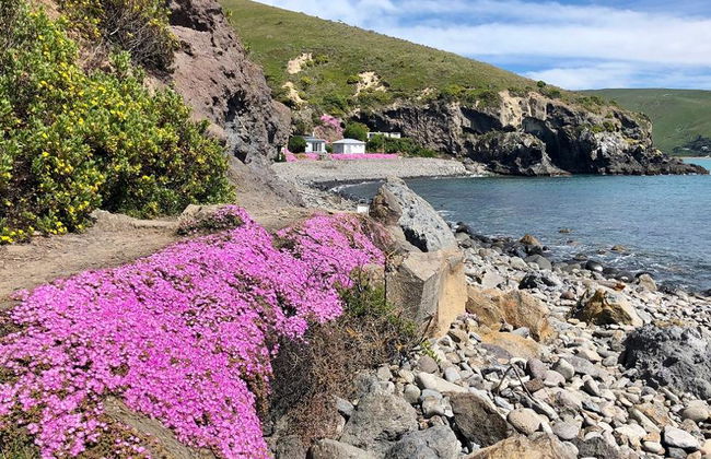 Randonnée guidée d'une journée - Photo 2