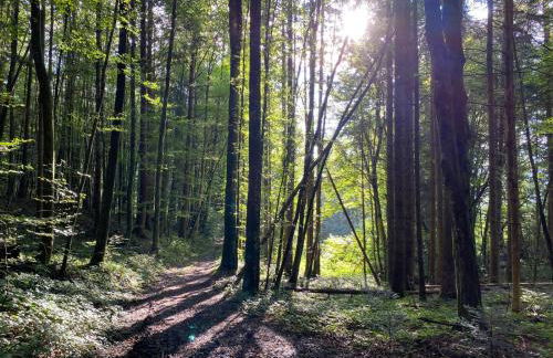 Haus Vogl - Fewo mit priv. Sauna und traumhaften Salzwasser-Pool - Foto 11
