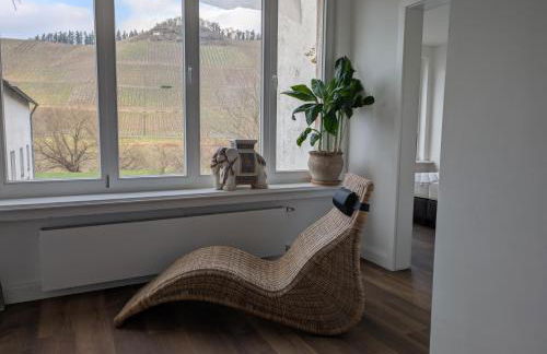 Winzervilla Kammerhof - 3x stilvolle & geräumige FeWos mit Moselblick, 2-12 Gäste buchbar, direkt am Moselradweg - Foto 6