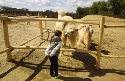 Kuća za odmor Malia sa Spa Hot Tub Jacuzzijem - Nice and Cozy - Free tickets to all City attractions - Foto 45