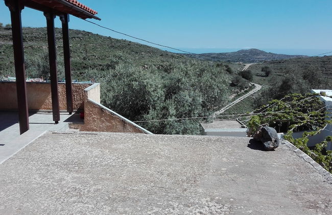 Garden Of Olive Trees - Photo 21