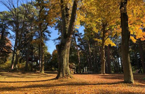 Dworek nad Jeziorem Wądzyn - Foto 43
