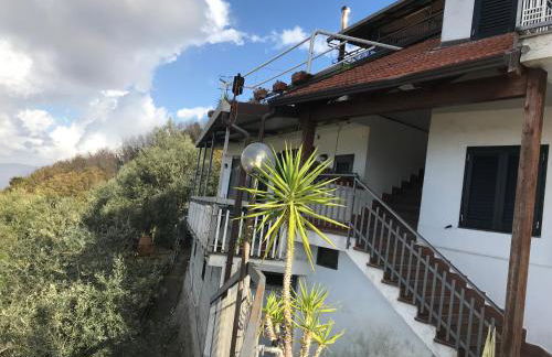 Or Son Sano - Foto 46