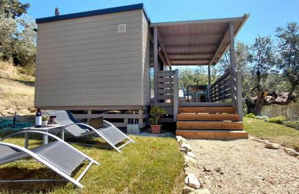 Podere Cortesi Agriturismo Molinaccio - Foto 21