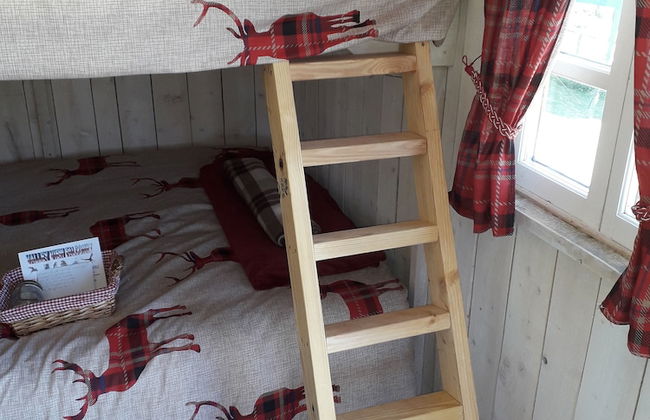 Meadow Shepherds hut - Photo 8